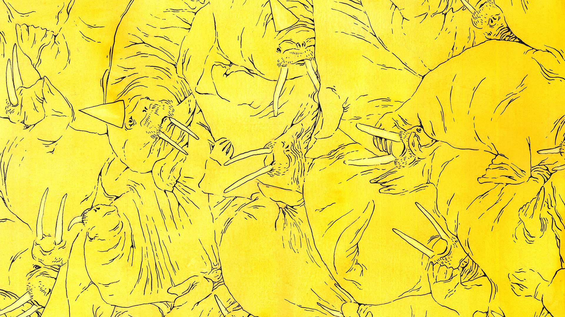 A lazy image