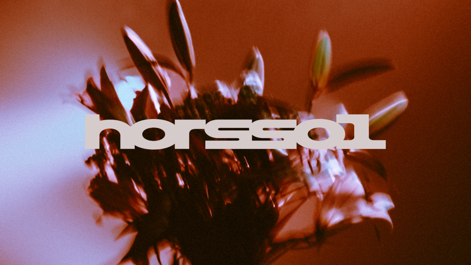 HORS-SOL — ADI + DOMI + KONDUKU